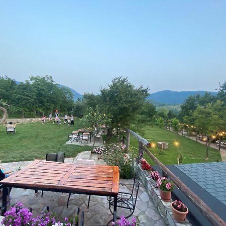 Vila Disha Tirana Exteriör bild