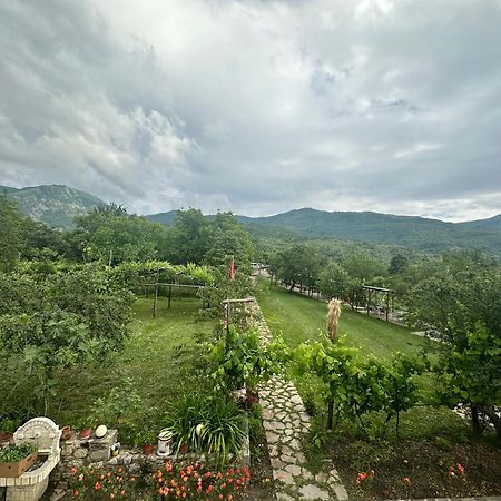 Vila Disha Tirana Exteriör bild