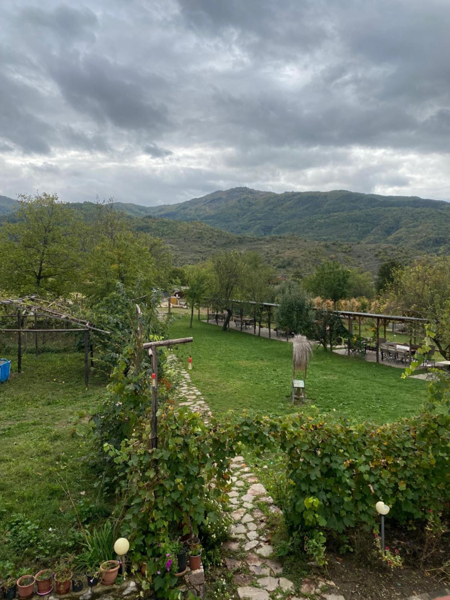 Vila Disha Tirana Exteriör bild