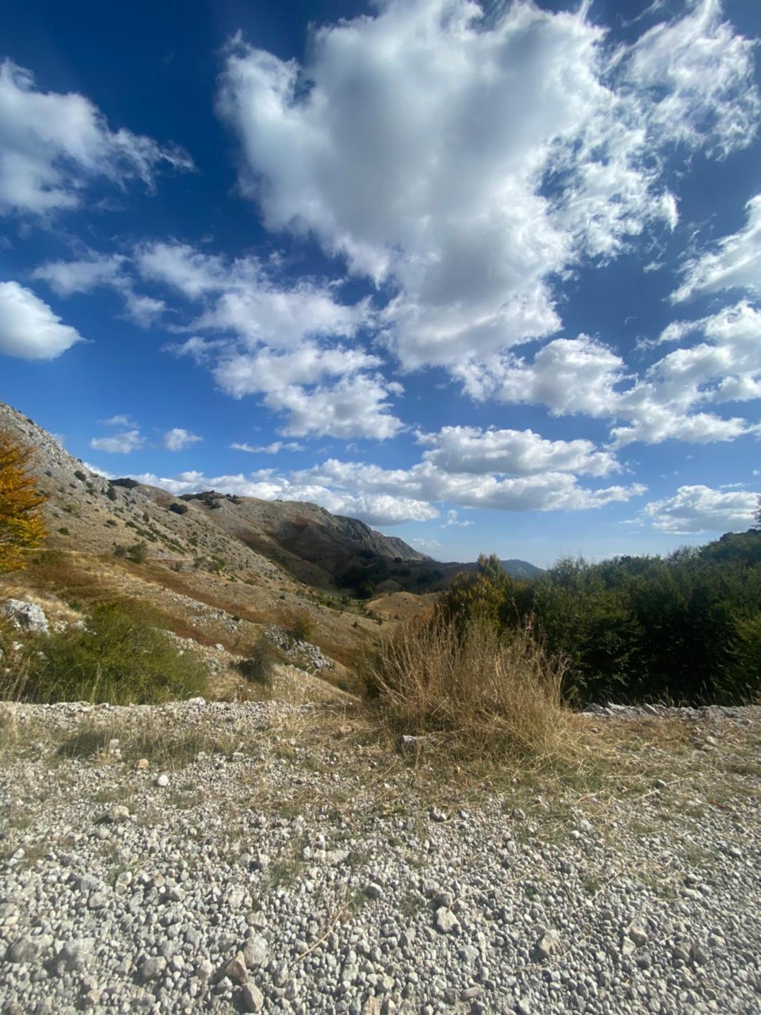 Vila Disha Tirana Exteriör bild