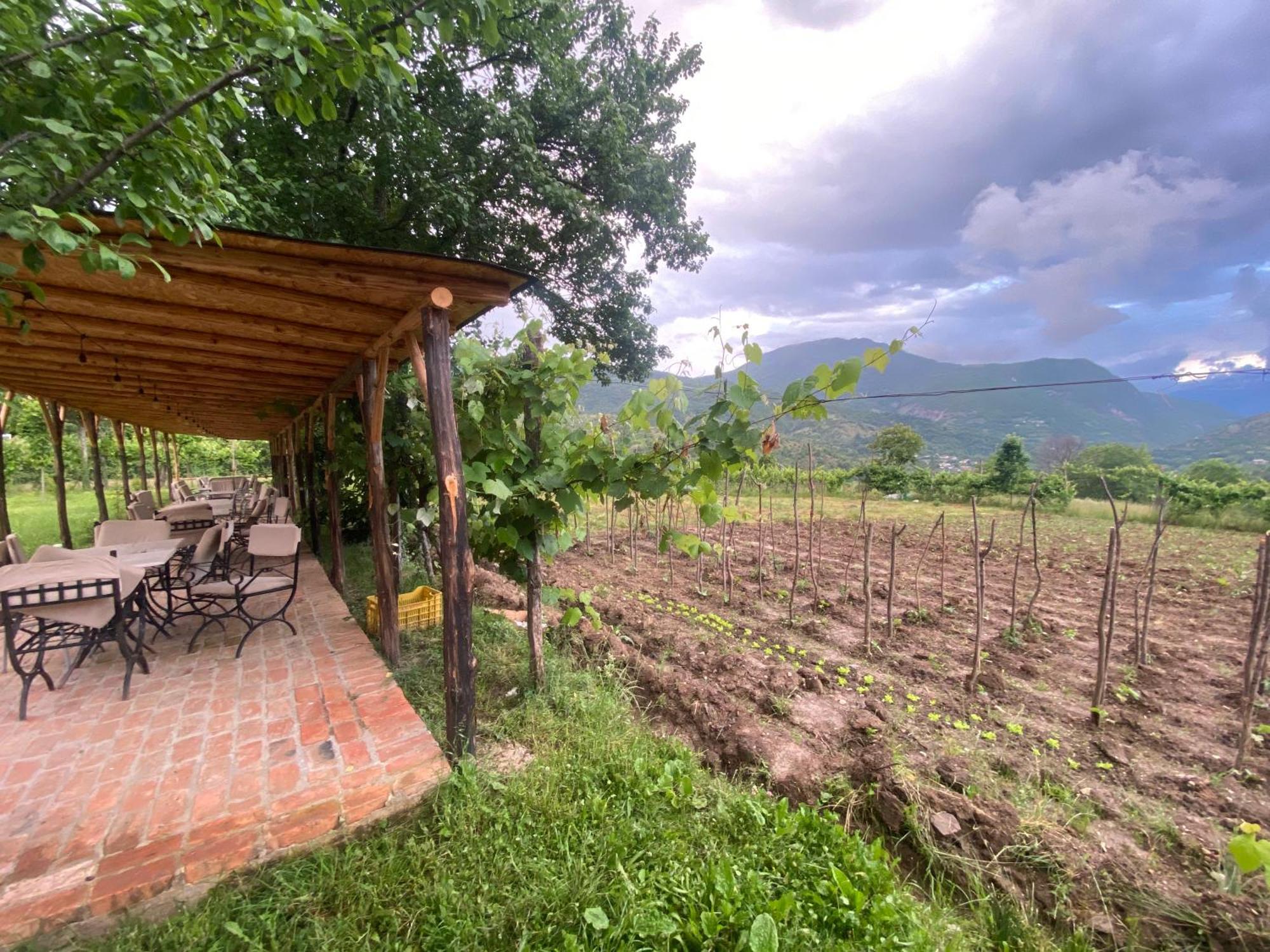 Vila Disha Tirana Exteriör bild