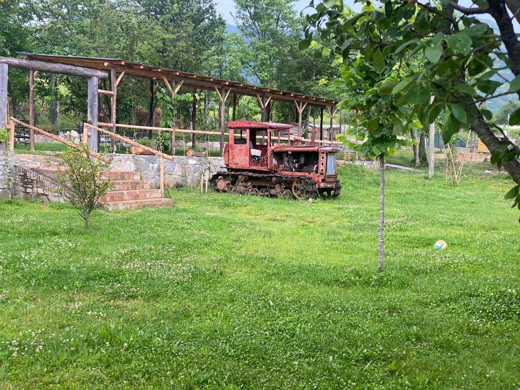 Vila Disha Tirana Exteriör bild