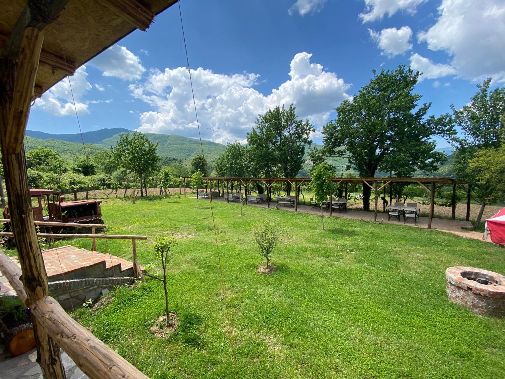 Vila Disha Tirana Exteriör bild