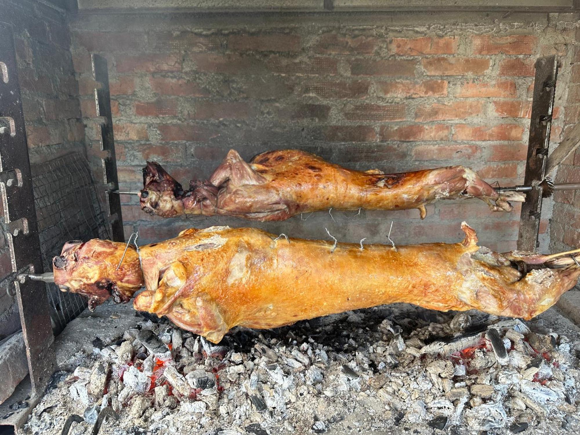 Vila Disha Tirana Exteriör bild