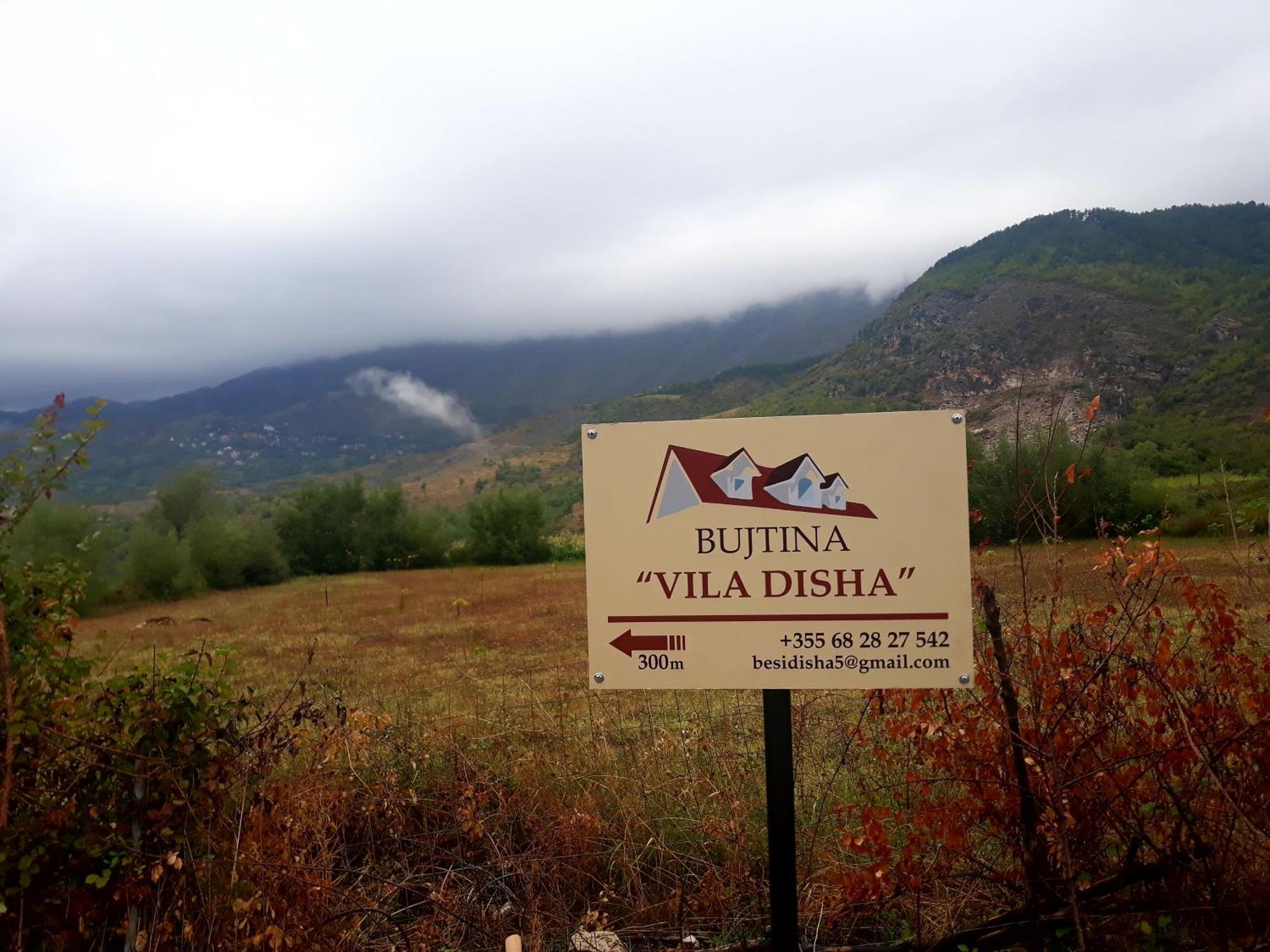 Vila Disha Tirana Rum bild