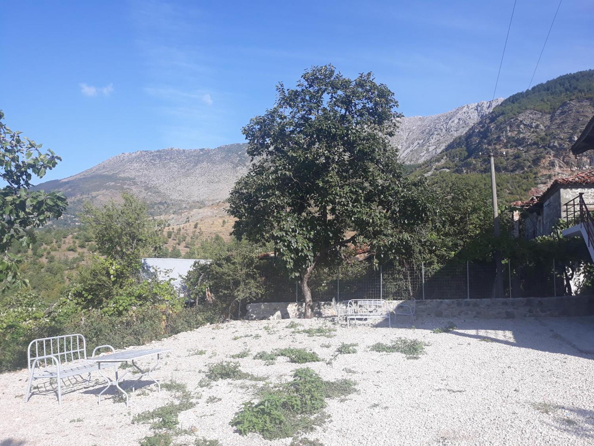 Vila Disha Tirana Rum bild