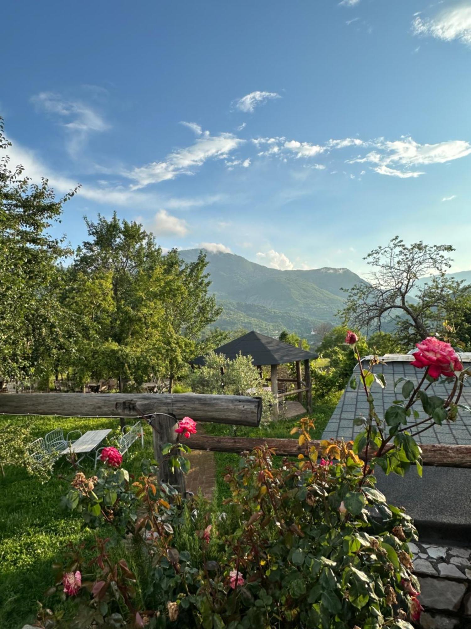 Vila Disha Tirana Exteriör bild