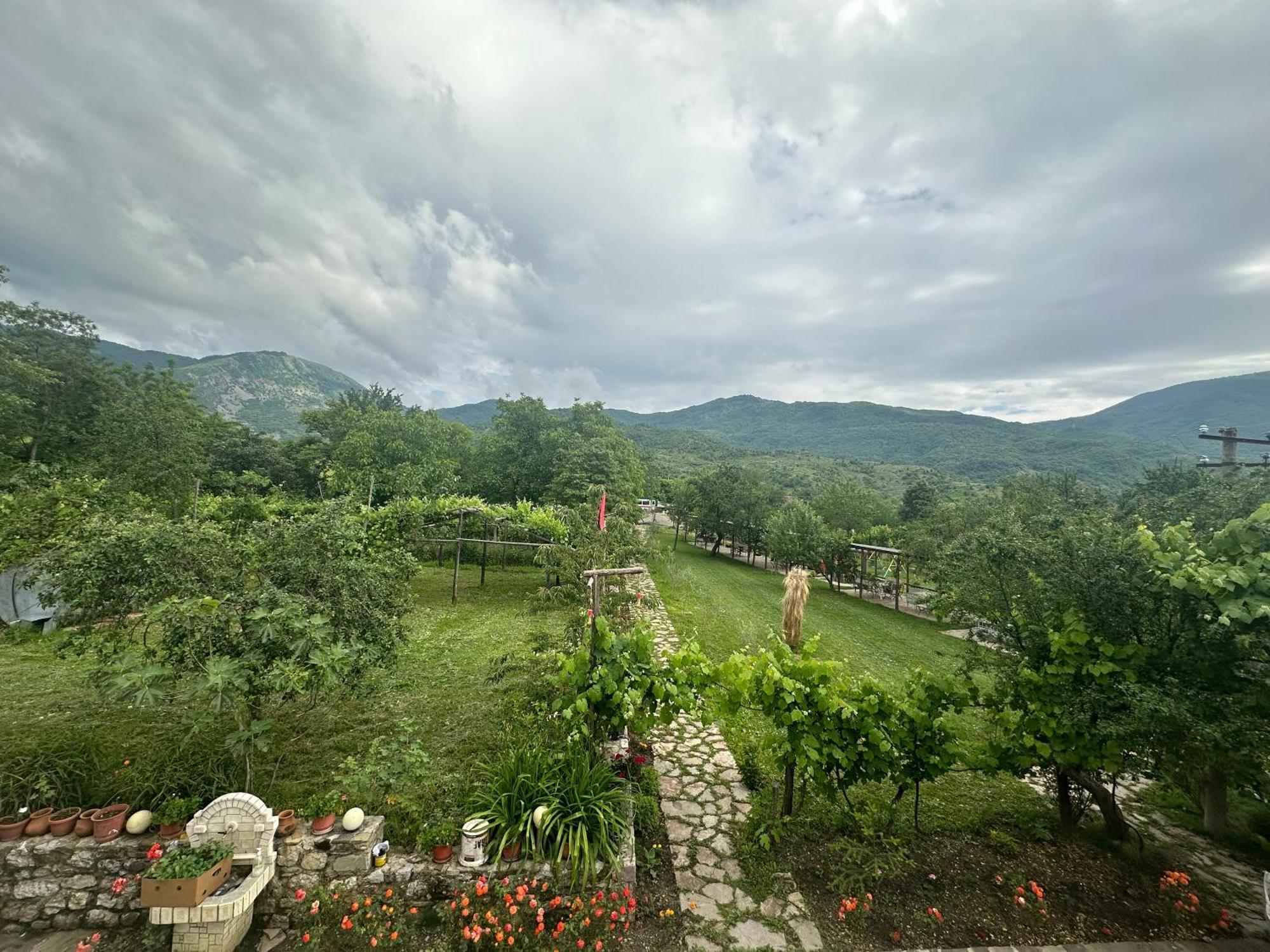 Vila Disha Tirana Exteriör bild