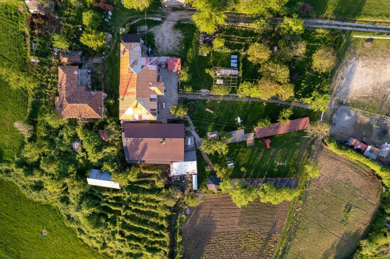 Vila Disha Tirana Exteriör bild
