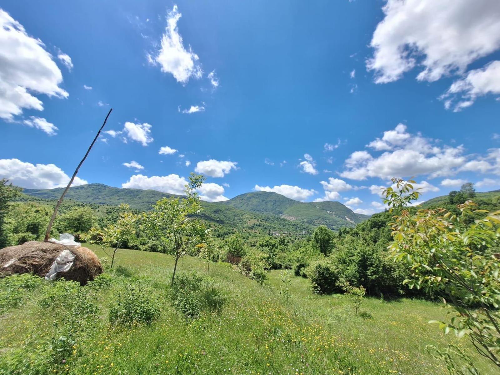 Vila Disha Tirana Exteriör bild