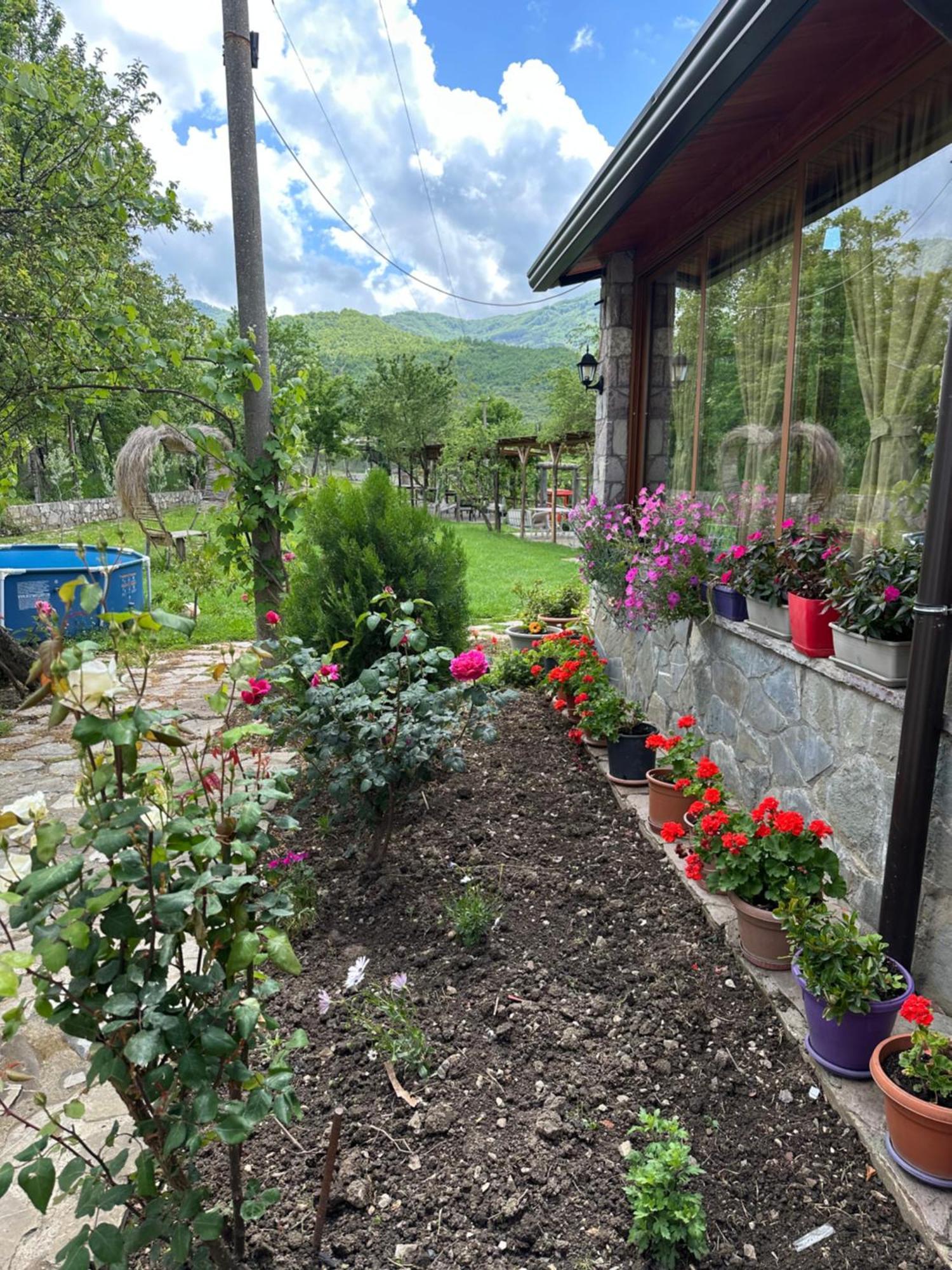 Vila Disha Tirana Exteriör bild